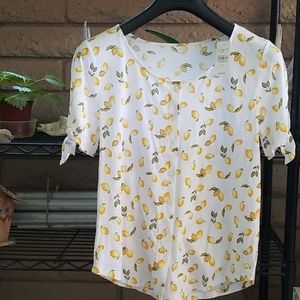 NWT loft button down shirt